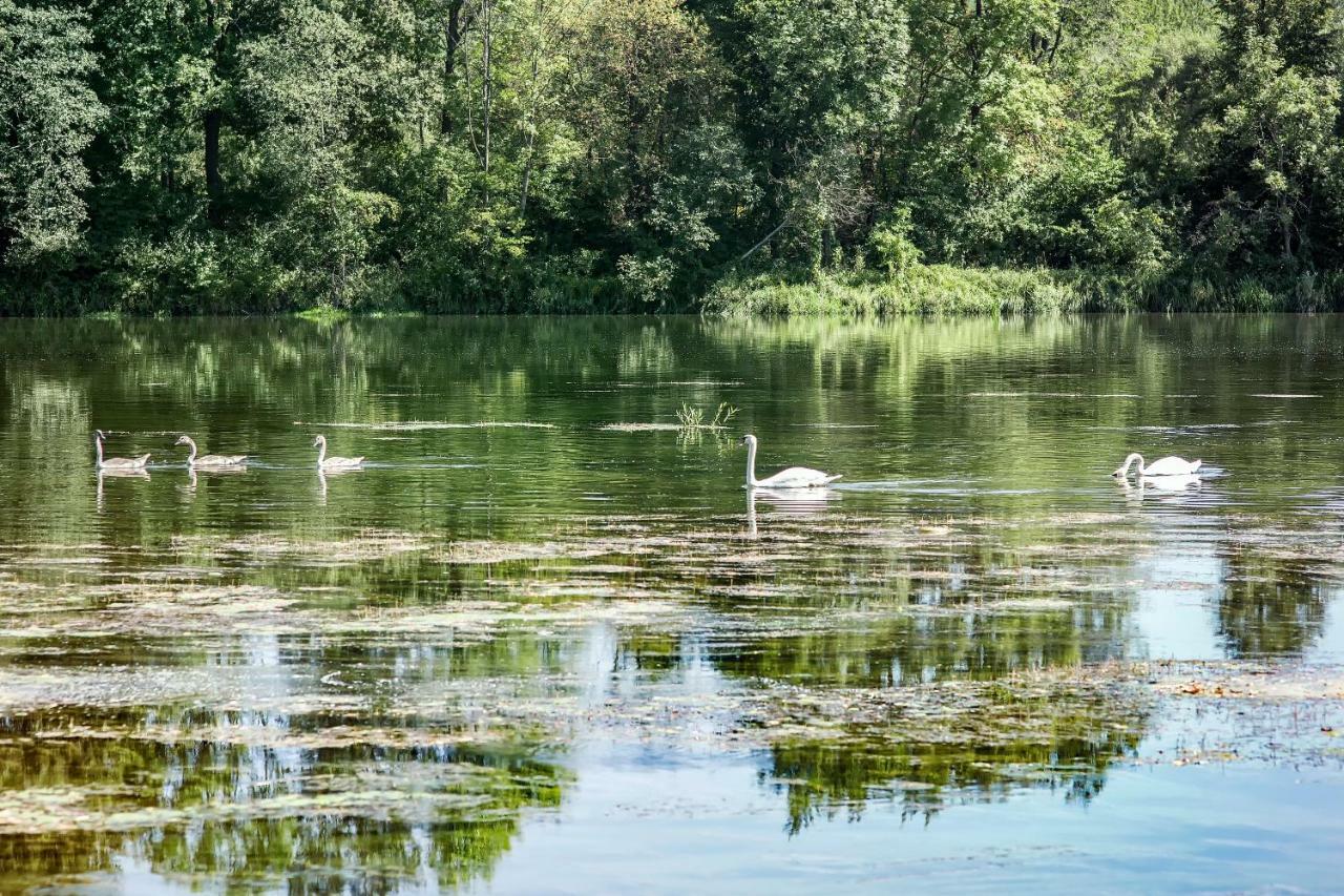 Domek Nad Sanem Zagorz Esterno foto