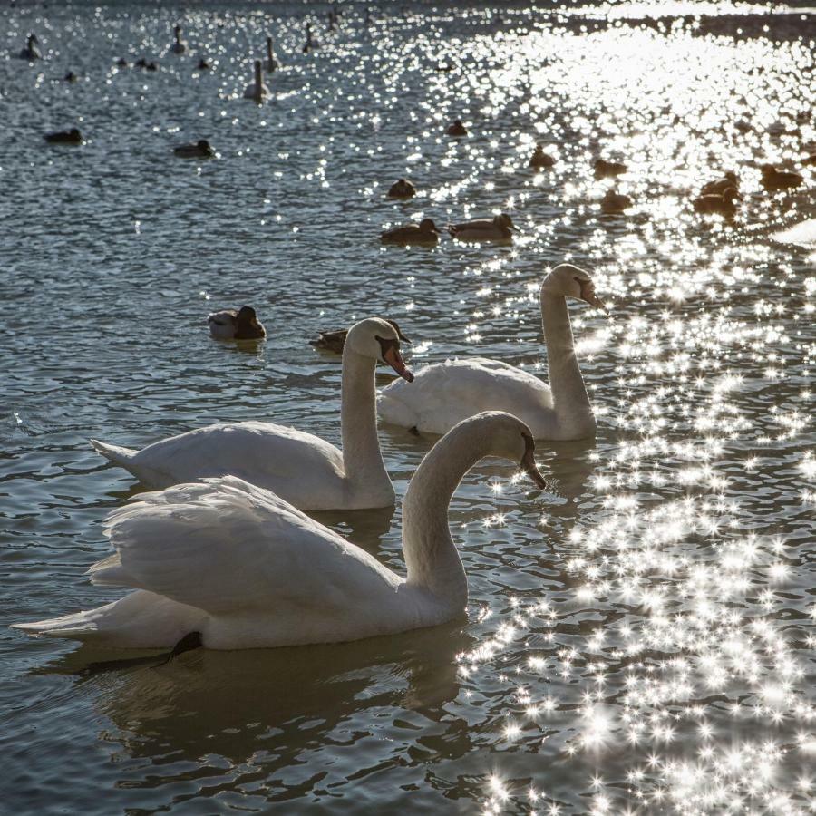 Domek Nad Sanem Zagorz Esterno foto